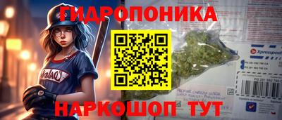ECSTASY Тверь