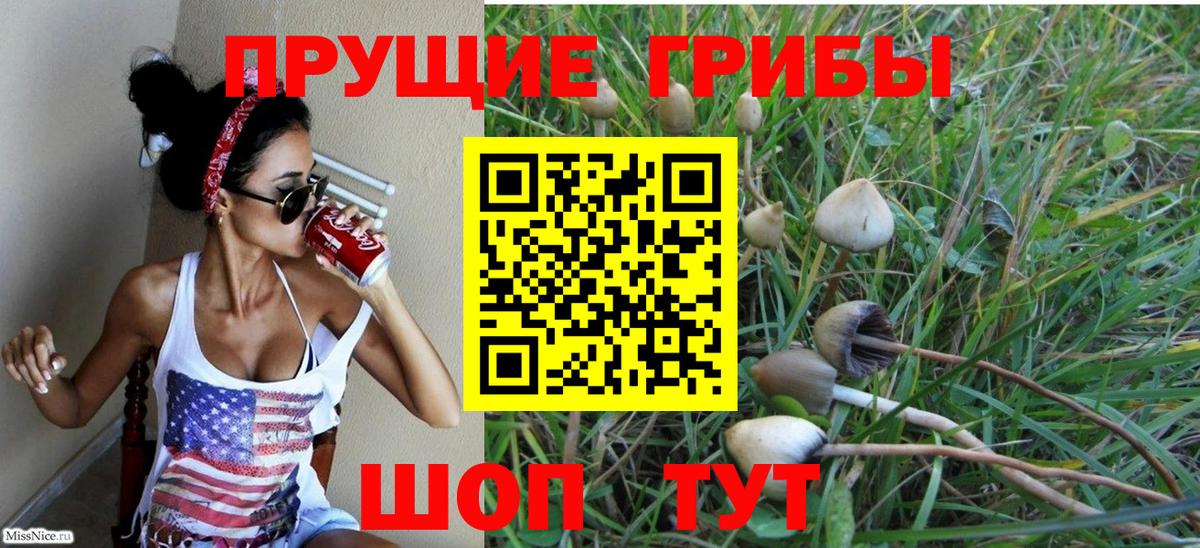 Новоалтайск  Галлюциногенные грибы Psilocybine cubensis  Галлюциногенные грибы Cubensis  Вход с VPN 