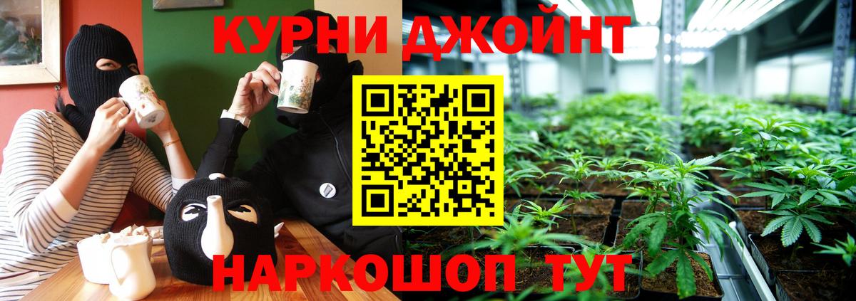 Бошки Шишки White Widow  Вход с VPN  Шишки марихуана план  Новоалтайск  Канабис тримм 
