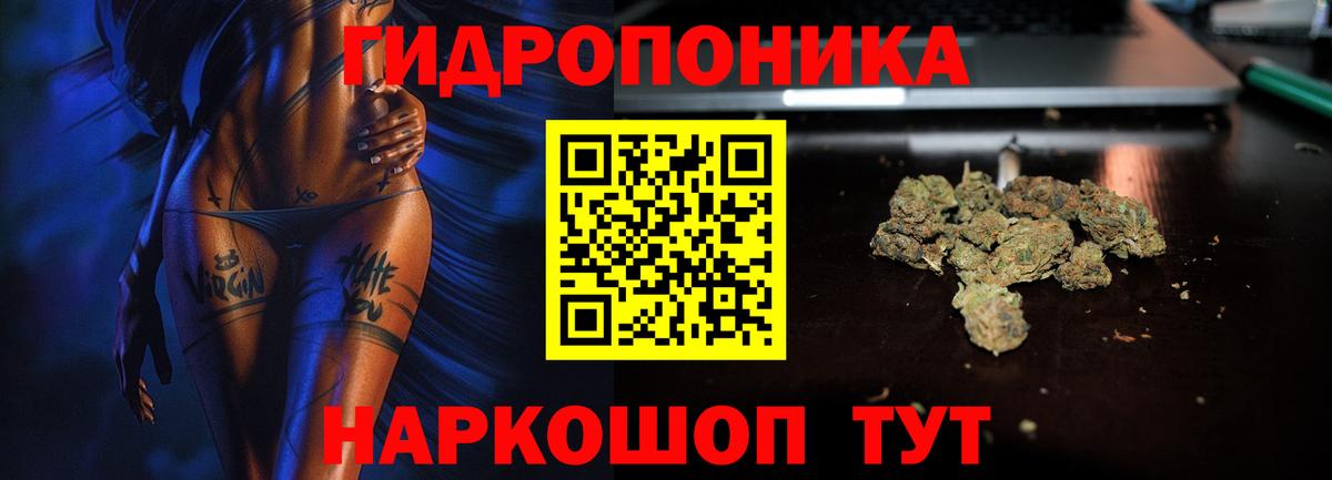 Бошки марихуана THC 21% Новоалтайск